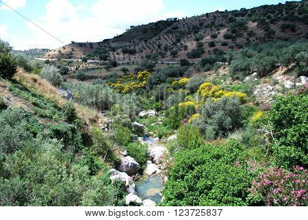 View of the Sabar river stream running through the mountains between Periana and Rio Gordo Costa del Sol Malaga Province Andalusia Spain Western Europe.