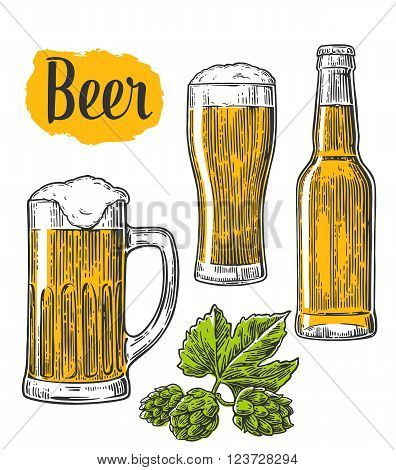 Beer glass mug bottle hop. Vector vintage engraved illustration isolated on white background.