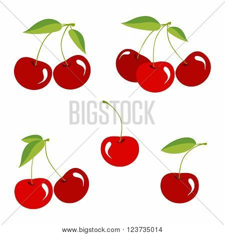 Cherry berry with leaves. Collection of different fresh cherry berry.