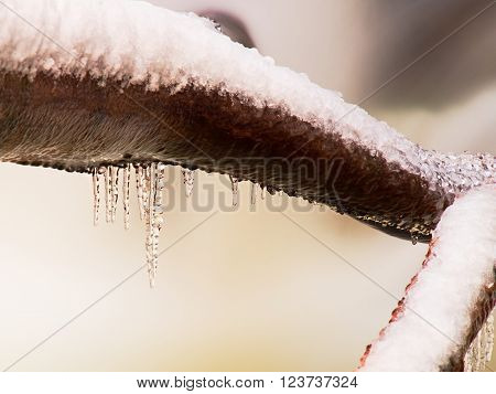 Watercolor paint. Paint effect.Freeze winter view to icicles on twigs and icy boulders above rapid stream. Reflections in icicles.
** Note: Shallow depth of field