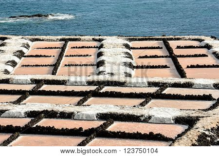 Picture Photo of Salt Flats in the Canry islands