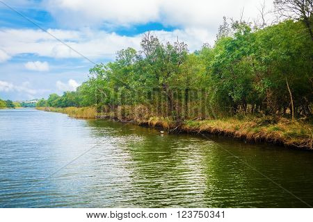 Beautiful river with thickets of green trees on the shore. The forest along the riverbank. Ropotamo river in Bulgaria.