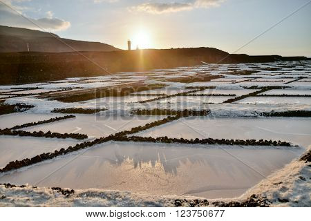 Picture Photo of Salt Flats in the Canry islands