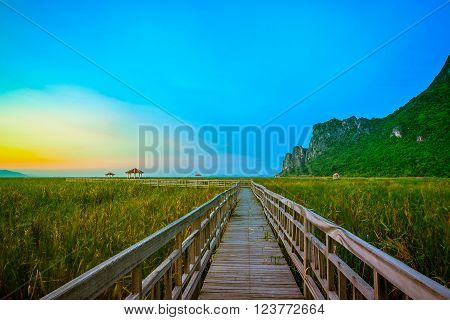 Wooden bridge in Khao Sam Roi Yod National Park Prachupkhirikhan Province Thailand. Selective focus. Vintage tone