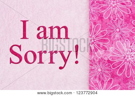 I am Sorry Message Some flowers on pink plush fabric with text I am sorry