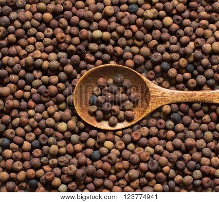 Raw organic roveja beans with a spoon on a wooden table