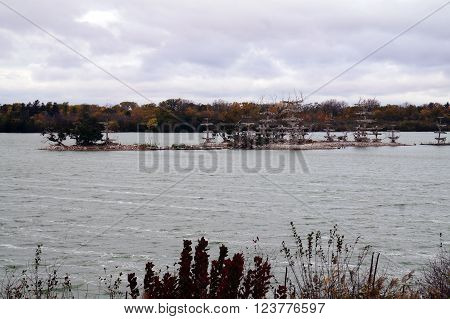 The Lake Renwick Heron Rookery Nature Preserve, in Plainfield, Illinois, provides nesting platforms for  herons, cormorants and egrets, on an island in Lake Renwick.