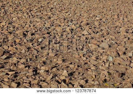 Rocks on a dry field in Africa.