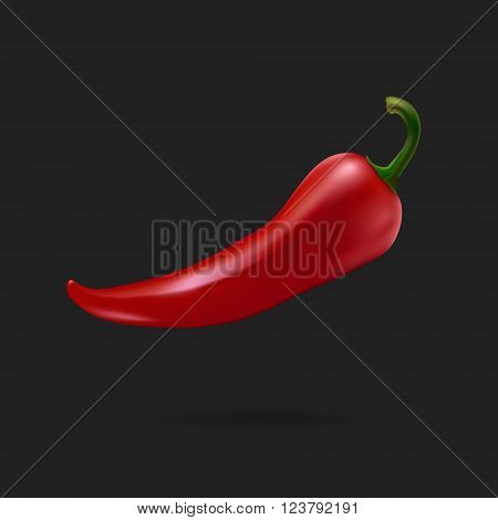 Realistic red chilli pepper isolated on white background. Vector EPS10 Illustration.
