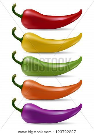 Set of realistic chilli peppers isolated on white background. Vector EPS10 Illustration.