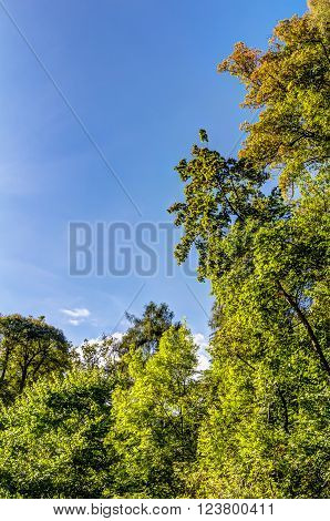 Fall foliage in autumn in the Bergpark Kassel Wilhelmshohe, Germany