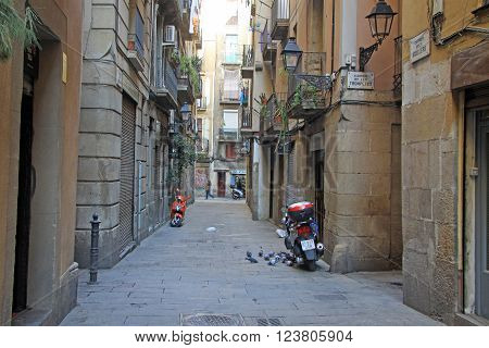 Barcelona, Catalonia, Spain - December 12, 2011: Street In Ciutat Vella (old Town) In Barcelona