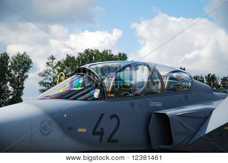 RADOM, Lengyelország - augusztus 31: a Gripen. Nemzetközi légi bemutatók-AIR SHOW 2009 augusztus 31, 2009-ben