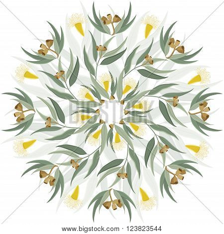 Abstract circular ornament mandala with native australian plant eucalyptus leaves and flowers. Round floral pattern isolated on white background