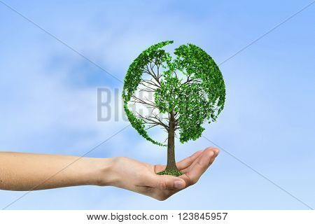 Green eco life 