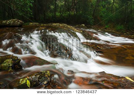 Goomoolahra creek at Springbrook National Park in Queensland.