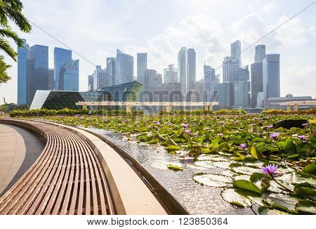SINGAPORE, SINGAPORE - FEBRUARY 17: Daytime view of the Singapore CBD skyskrapers with beautiful lilly pond on the foreground on February 17, 2016 in Singapore.