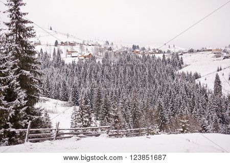Mountain village in winter. Carpathians mountains. Ukraine.