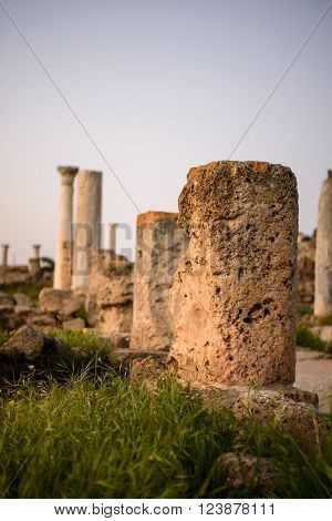Pillars in a row in Salamis located in eastern part of Cyprus, Northern Cyprus