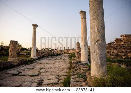 Ancient City Of Salamis Located In Eastern Part Of Cyprus.