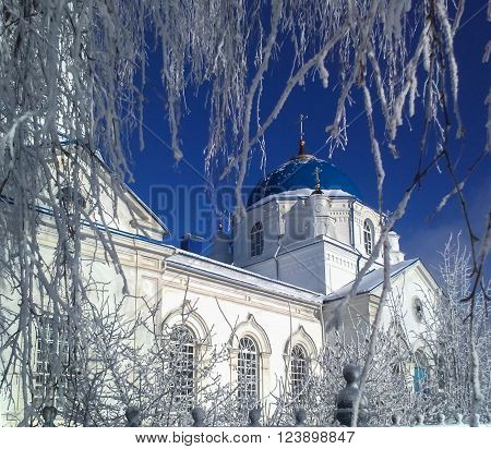 View of white church with blue domes through the snow-covered tree branches.