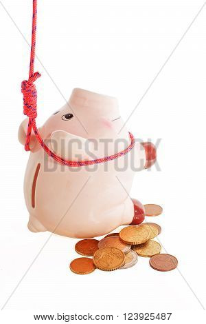 suicide of piggybank 
metaphor of financial crisis