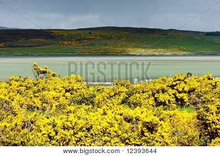 Loch Eriboll, Vysočiny, Skotsko
