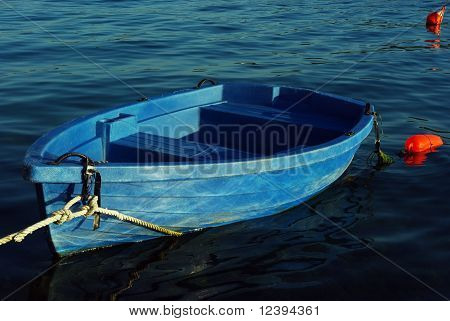 barca in legno mistico