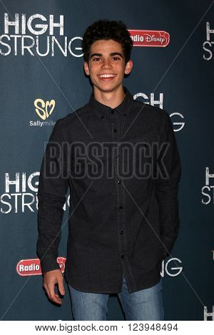 LOS ANGELES - MAR 29:  Cameron Boyce at the High Strung Premiere at the TCL Chinese 6 Theaters on March 29, 2016 in Los Angeles, CA