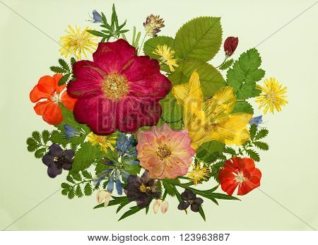 Bouquet of flowers on a light background. Pressed dried rosehip flowers lily geranium violet dandelion clover and lupine. Picture from dry flowers.