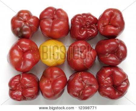 skład bellpeppers