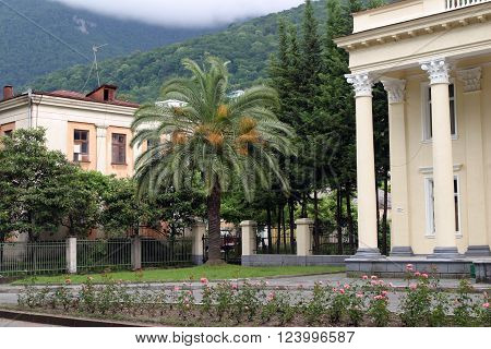 urban landscape of the seaside town of Gagra summer cloudy day