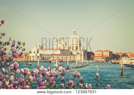 Basilica Santa Maria della Salute and Grand canal water at spring day, Venice, Italy, retro toned