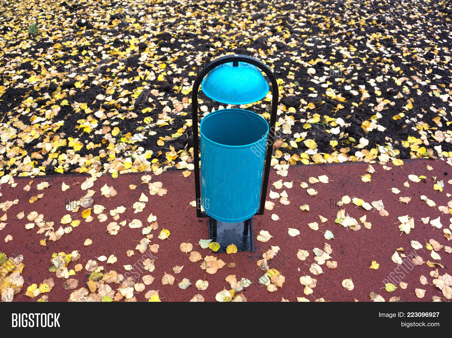 Image Preview