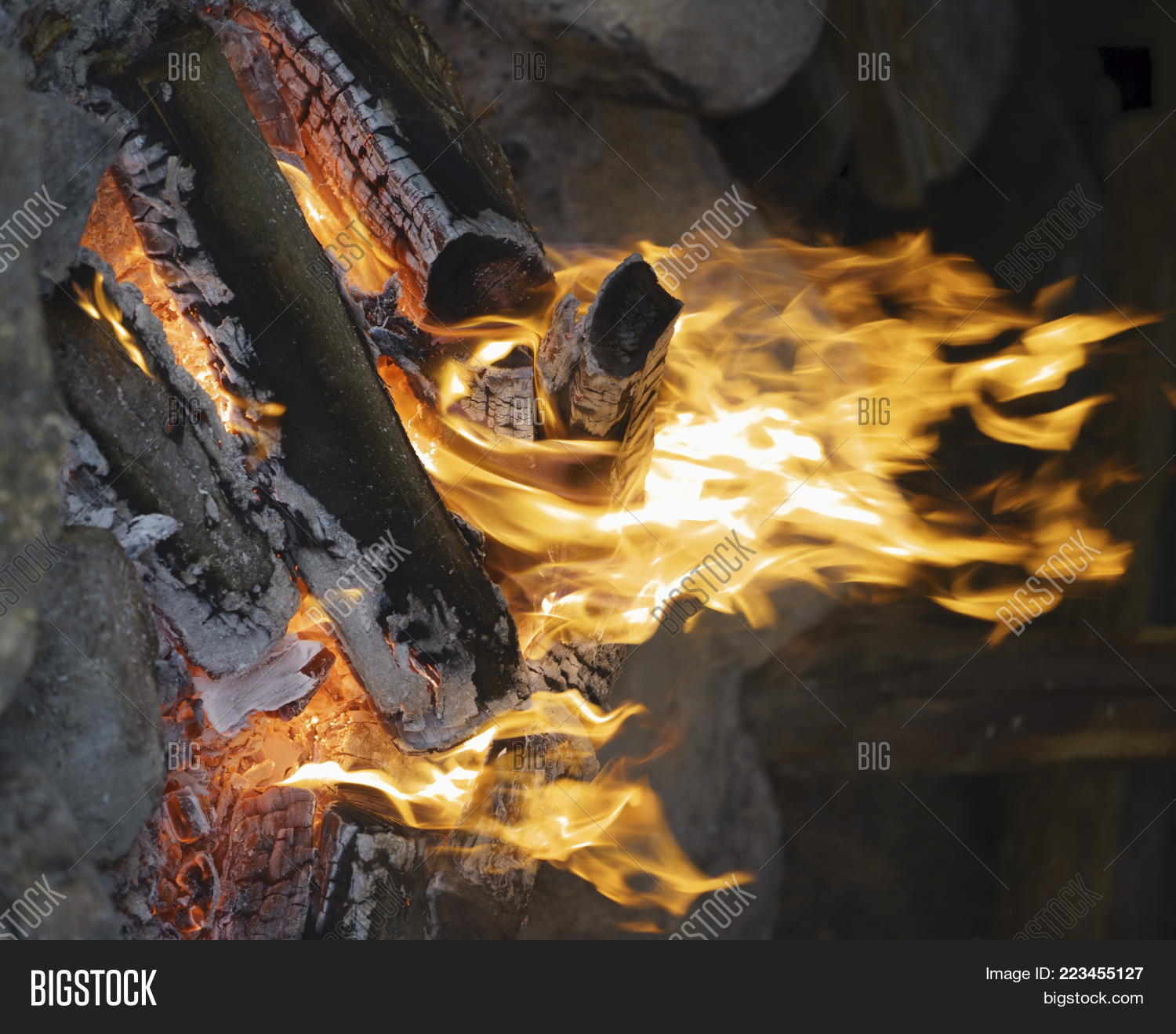 Image Preview