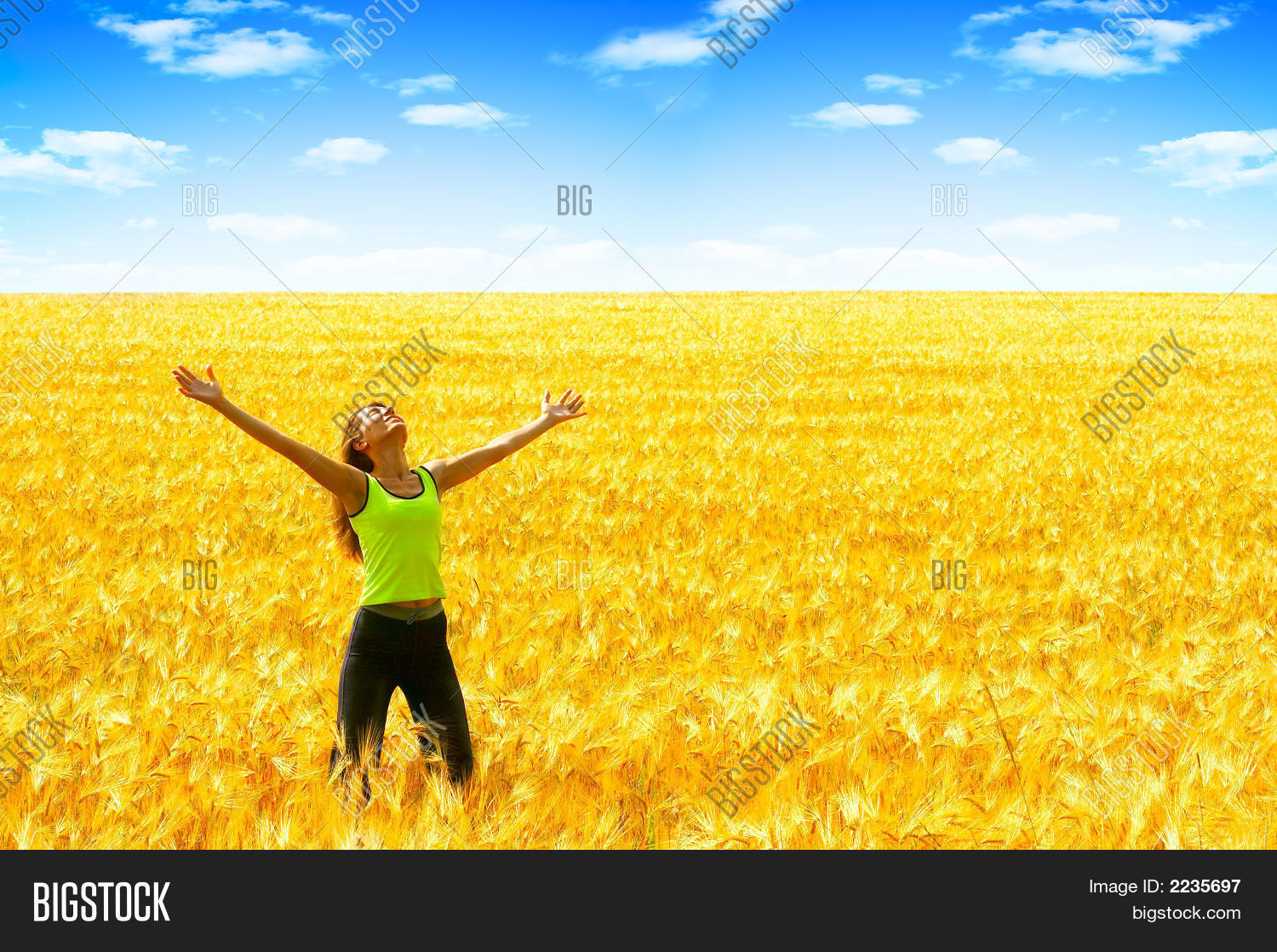 Image Preview