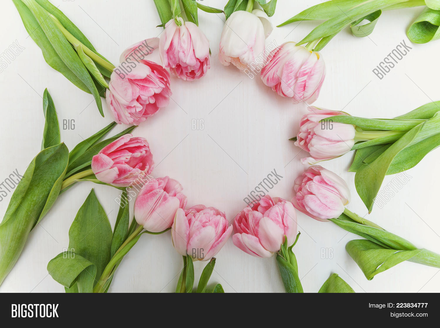 Image Preview