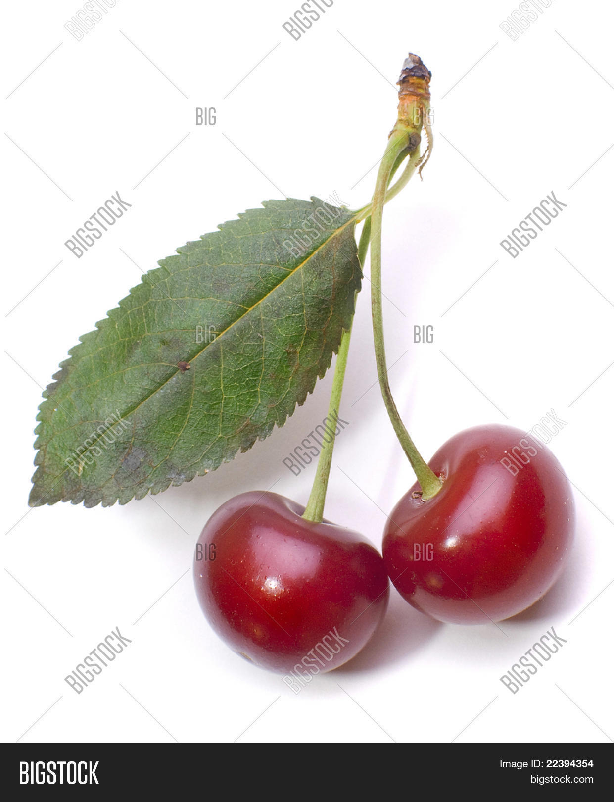 Image Preview