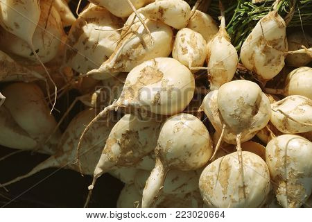 Jicama, crisp fresh and sweet taste fruit in local market Thailand.