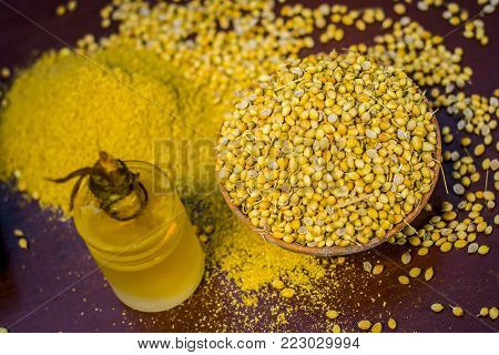 Coriander/coriandrum Sativum/dhaniya Oil With Dried Coriander Seeds In A Clay Bowl.