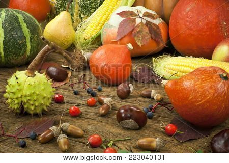 Autumn background,   pumpkins and fallen leaves on wooden background, Still Life of Pumpkins