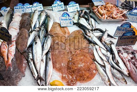 TREGUIER, FRANCE - JULY 2, 2010: various atlantic local fresh seafood in outdoor fish market in Treguier town in summer. Treguier is port town in the Cotes-d'Armor department in Brittany