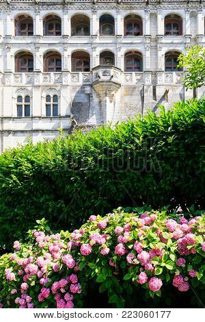 BLOIS, FRANCE - JULY 8, 2010: pink flower of hydrangea bush and facade of castle Chateau de Blois. Blois is the capital of Loir-et-Cher department in central France