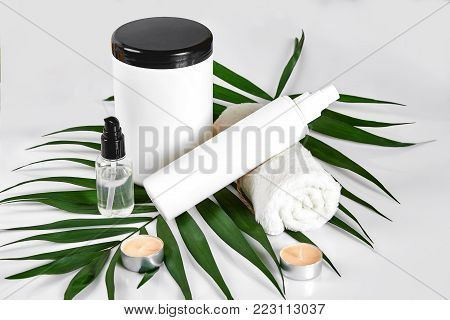 White cosmetic products and green leaf on white background. Natural beauty products for branding mock-up concept. Still life. Copy space