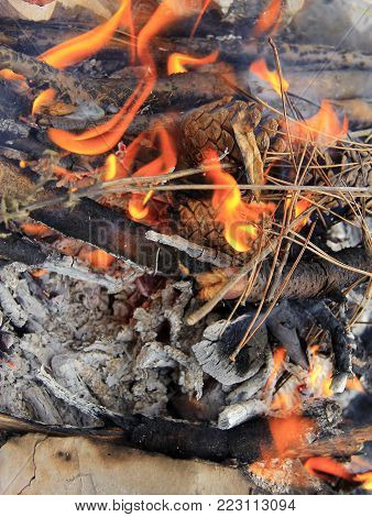 Bonfire in the forest ready for barbeque