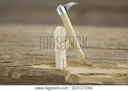 Male begins pest control on housebuck infected wood