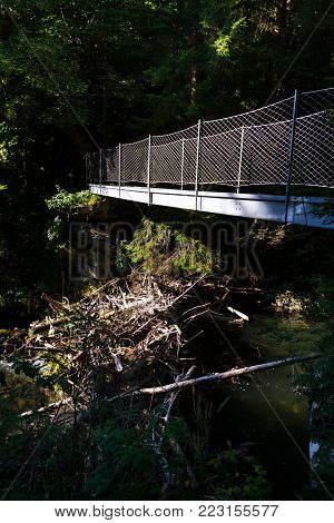 Footbridge on alpine trail through Hell gorge, Schladming, Austria