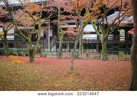 The Shinsho Gokuraku Ji Garden At Fall