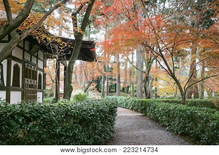 Shinsho Gokuraku Ji Garden At Fall Kyoto