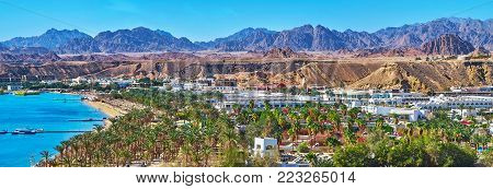 The palm gardens of Sharm El Maya district, located on the same named bay in Sharm El Sheikh - the most popular resort in Sinai peninsula, Egypt.